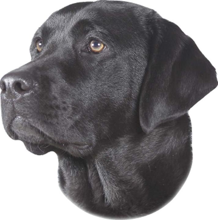 Actual product image Nobby Sticker Labrador black