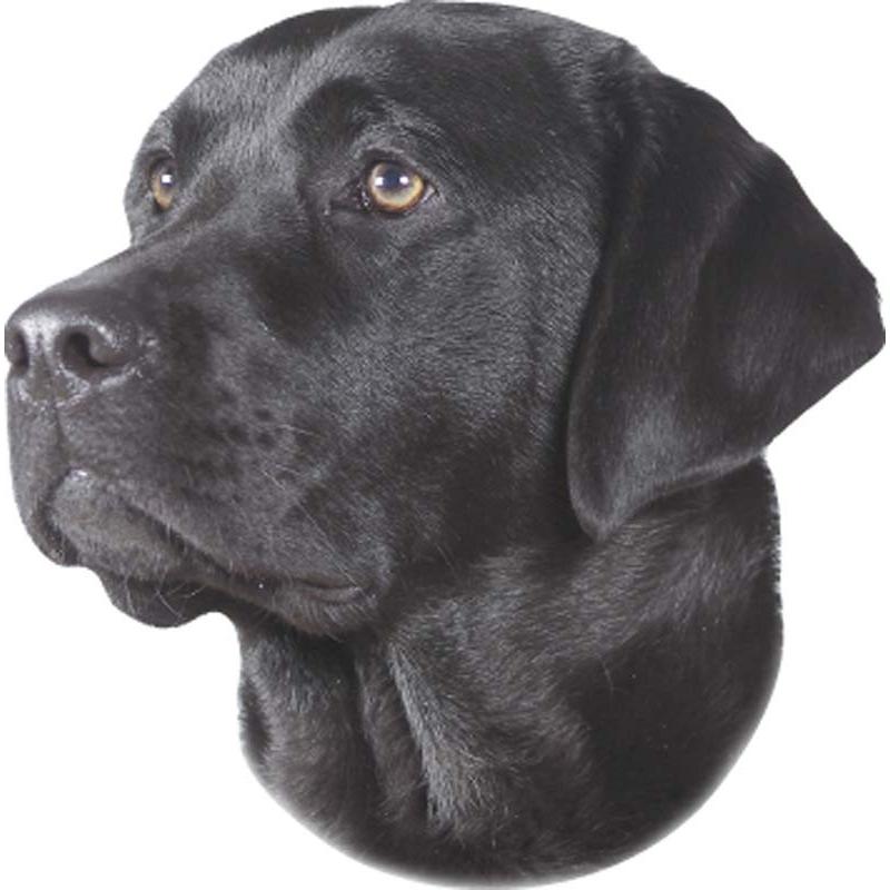 Nobby, Sticker, Aufkleber Labrador schwarz