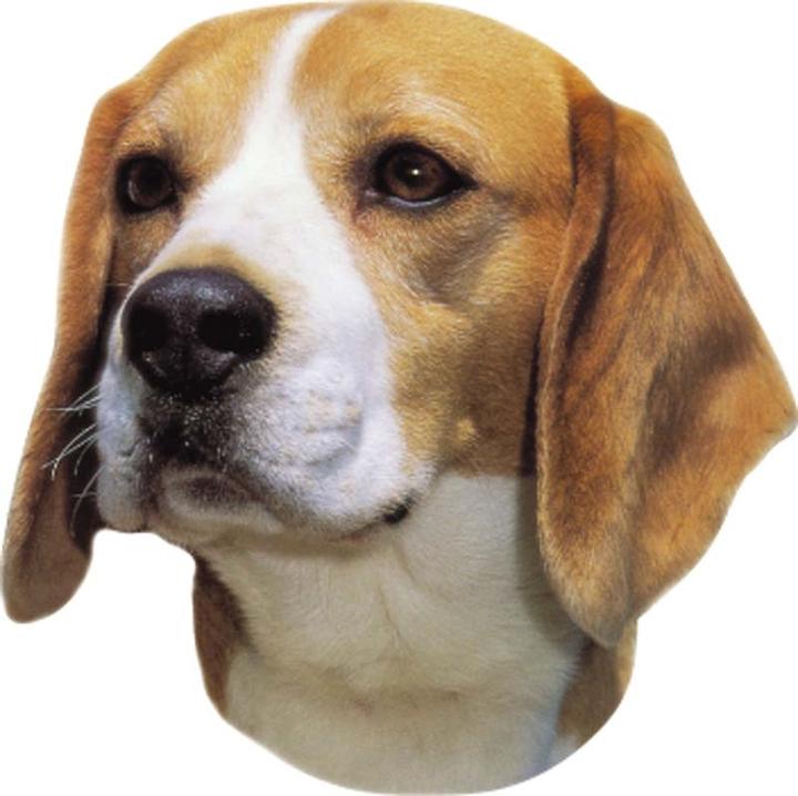 Produktbild Nobby Aufkleber Beagle