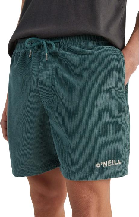 Actual product image O'Neill hort camorro cord (S)