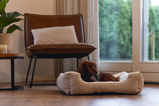 Actual product image Beeztees BZ DOG BED MOGINA GRAY 55X50 (Dog)