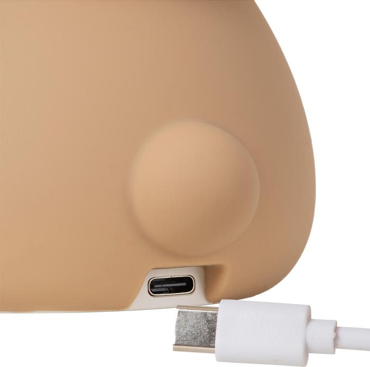 Produktbild Lucide Pincha Bear