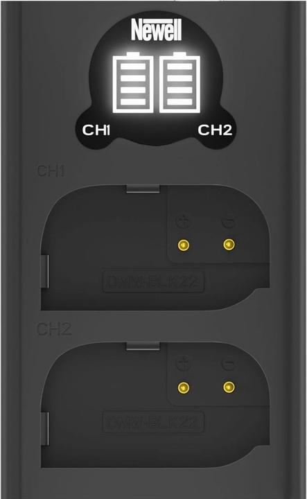 Image du produit Newell battery DL-USB-C DMW-BLK22 Dual Channel Charger for Panasonic LUMIX S5, GH5, G9, GH5S (Chargeur de batterie d'appareil photo)