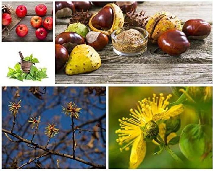 Produktbild Talika Lipocils expert - Wimpernpflege (Augenpflege Gel, 10 ml, Tag)