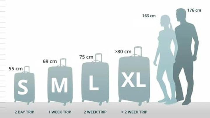 Actual product image Samsonite Intuo (105 l)