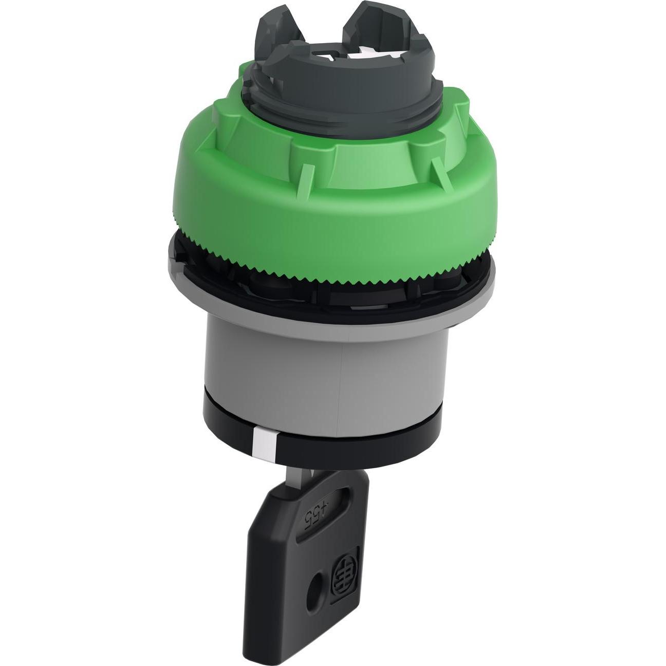 Schneider Electric Interruttore a chiave, anteriore, plastica, 2- ZB5FG6C0, Pulsante + Interruttore, Grigio