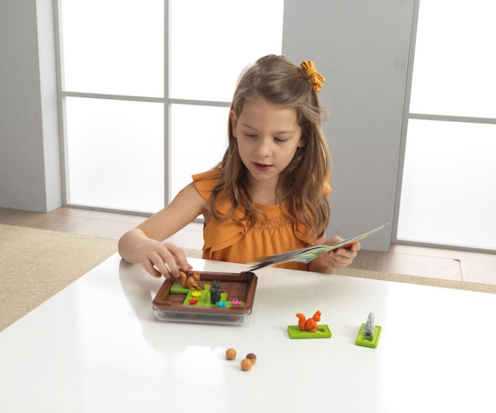 Actual product image Smart Games Go for it. (French, German, English, Italian)