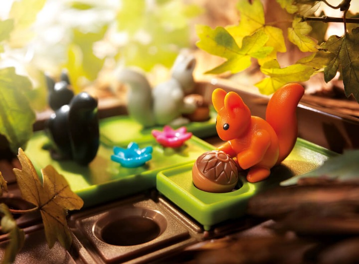 Actual product image Smart Games Go for it. (French, German, English, Italian)