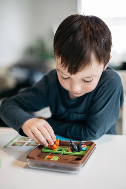 Actual product image Smart Games Go for it. (French, German, English, Italian)