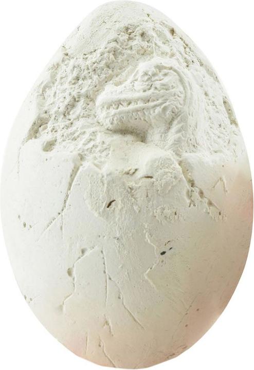 Actual product image Toi-Toys World of Dinosaurs excavation set dino egg
