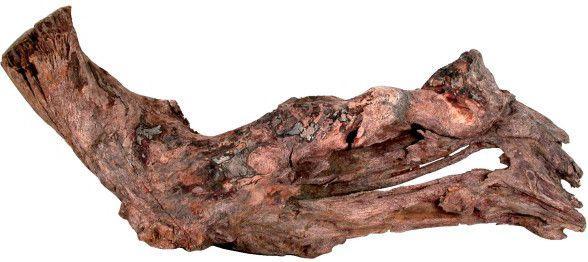 Zolux Mangrove Root 15-25 cm (Embellishment, Basics)