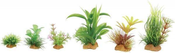 Actual product image Zolux Plant decoration mixture 6 pcs. Set 2 (352131) (Embellishment, other items)