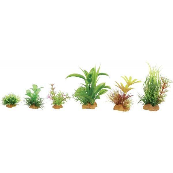 Zolux Plant decoration mixture 6 pcs. Set 2 (352131) (Dekoration, sonstige Gegenstände), Aquarium Dekoration
