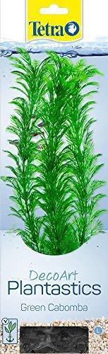 Produktbild Tetramin DecoArt Plant L Green Cabomba (Dekoration, Pflanzen)