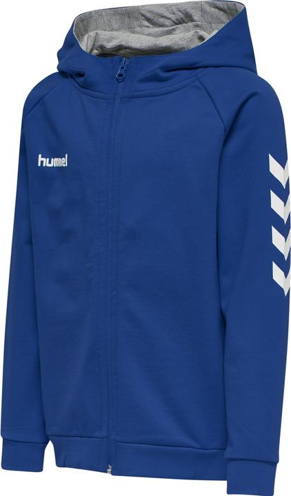 Produktbild hummel Go Kids Cotton Zip Hoodie (176)