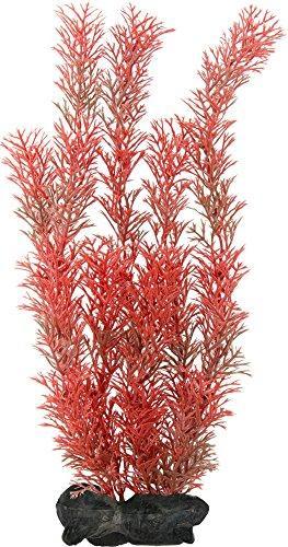 Produktbild Tetramin DecoArt Plant L Foxtail Red (Dekoration, Pflanzen)