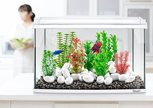Produktbild Tetramin DecoArt Plant L Foxtail Red (Dekoration, Pflanzen)