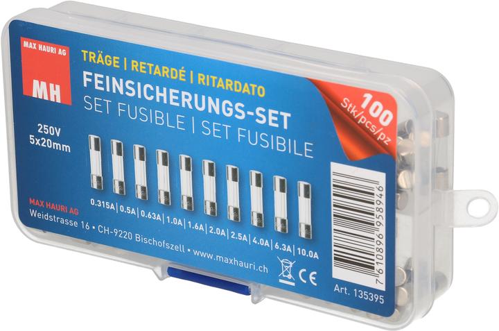 Max Hauri Fine-wire fuse set (0.50 A)