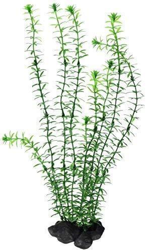 Tetramin DecoArt plant L Anacharis (Dekoration, Pflanzen)
