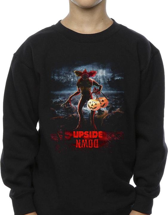 Produktbild Netflix Stranger Things Pumpkin Upside Down Sweatshirt Jungen (152, 158)