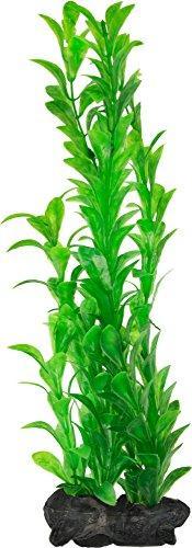Produktbild Tetramin DecoArt plant L Hygrophila (Pflanzen)