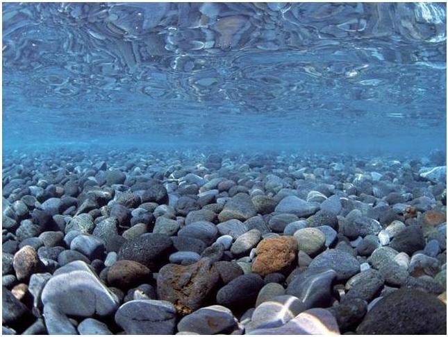 Actual product image Croci Spa Vision double-sided aquarium background 100x45cm (Embellishment, other items)