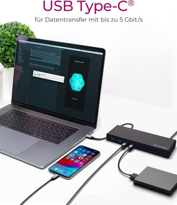 Actual product image Icy Box IB-DK2245AC (USB-C, 13 ports)