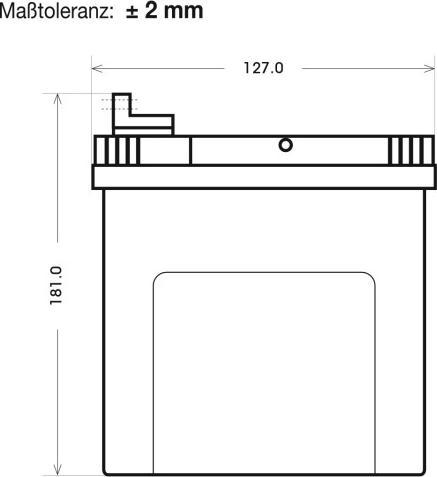 Actual product image Panther Batterien Lawn tractor battery 53030 12V 32Ah (12 V, 32 Ah)