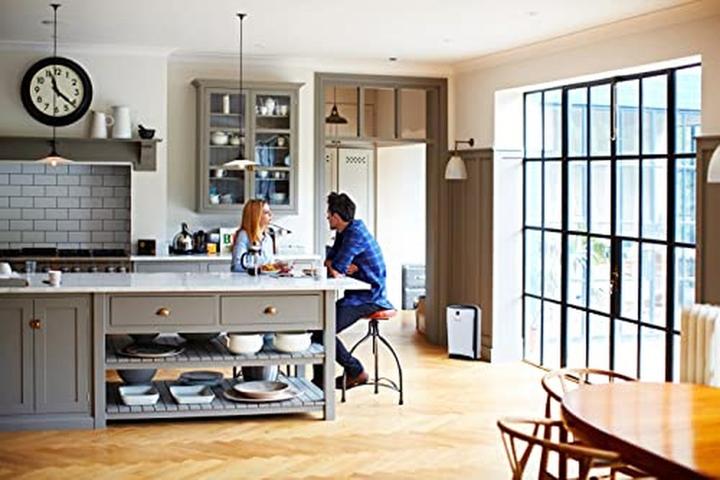 Actual product image Boneco P340 (40 m²)