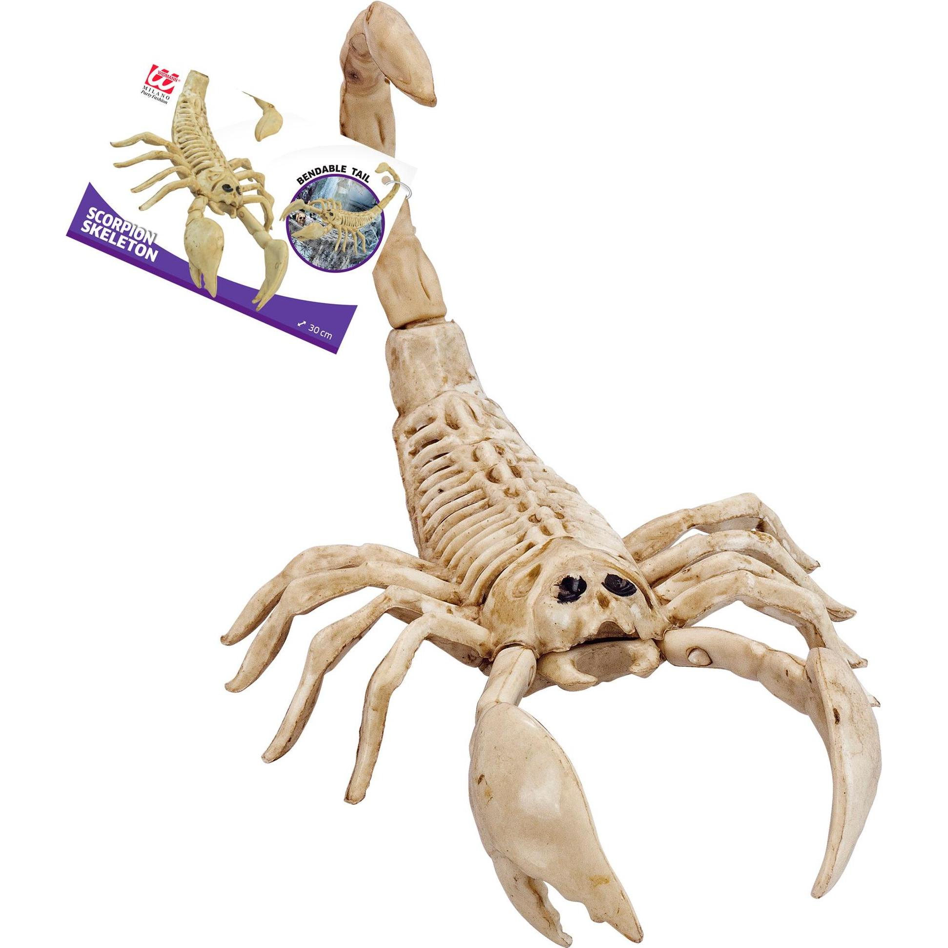 Thumbnail - Widmann Skorpion Skelett