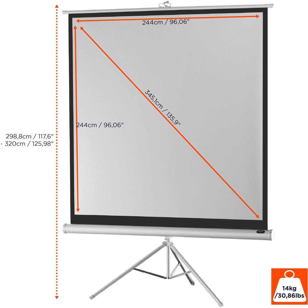 Thumbnail - Celexon Economy tripod screen - Projektionsbildschirm mit Stativ - 345 cm (136") (135.83", 1:1), Leinwand, Weiss