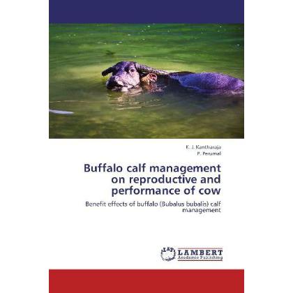 Buffalo calf management on reproductive and performance of cow, Fachbücher von P. Perumal, K. J. Kantharaja