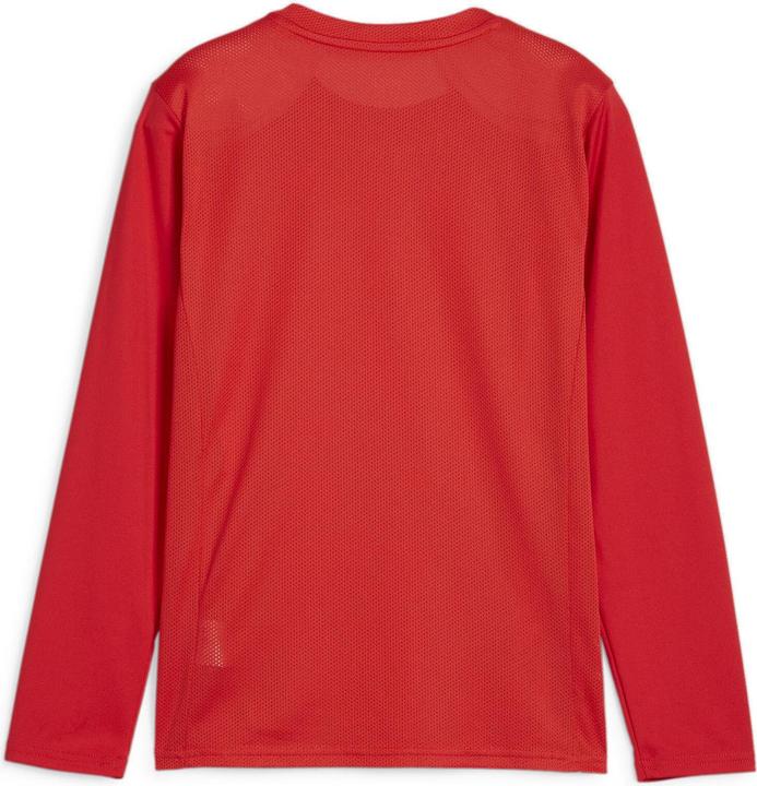 Produktbild Puma teamGOAL LS Jersey Jr (116)
