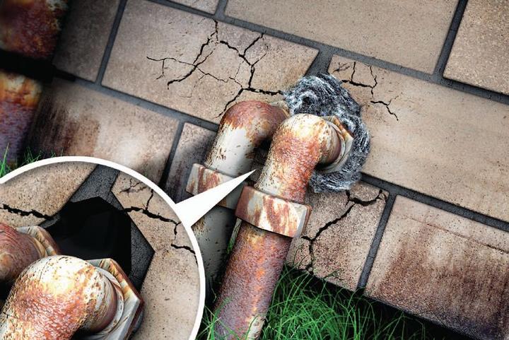 Actual product image Swissinno Rodent Stop