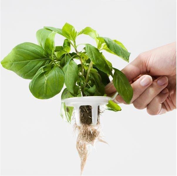 Produktbild Plantui Smart Garden (29 cm)