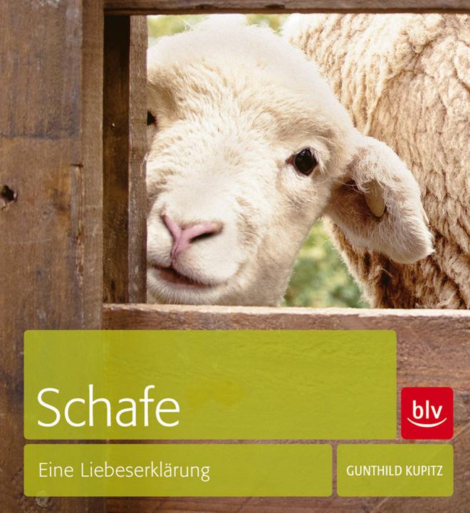 Produktbild Schafe (Deutsch, Gunthild Kupitz, 2013)