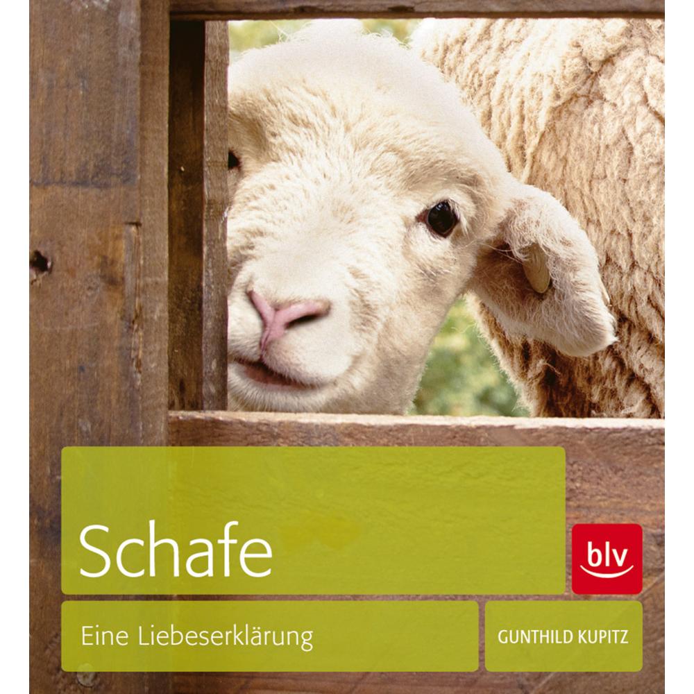 Schafe, Ratgeber von Gunthild Kupitz