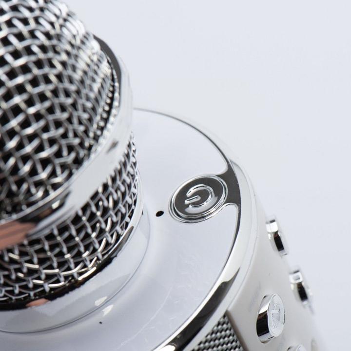Actual product image OEM Other Computer Accessory Multimedia karaoke microphone CR58 silver
