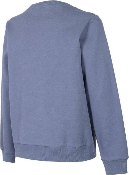 Actual product image 4F Women's sweaters grey H4Z22 BLD020 25S (XL) (XL)