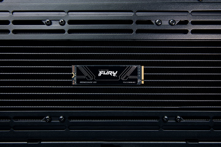 Productafbeelding Kingston FURY Renegade G5 (2048 GB, M.2 2280)