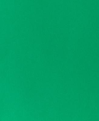 Produktbild Fotokarton A4, Tannengrün (270 g/m²)