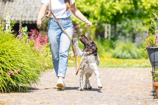 Actual product image Beeztees Bz Balacron Barf Bag Dispenser O (Dog)