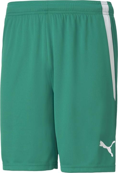 Image du produit Puma Short teamLIGA-704924 (XL)