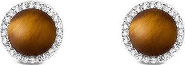 Produktbild Daniel Wellington Stylish Stud Earrings With Tiger Eye And Crystals Audrey Dw00401421