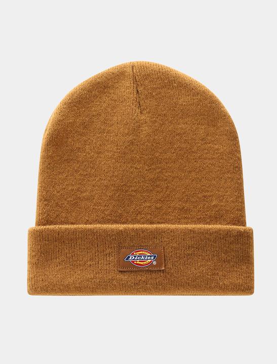 Actual product image Dickies Gibsland
