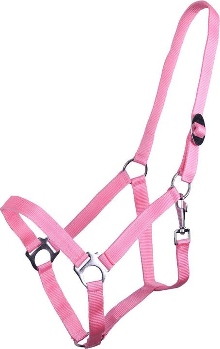 Qhp Horse halter with slider
