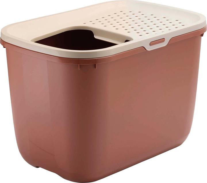 Champagne Pink, Tuscan Red