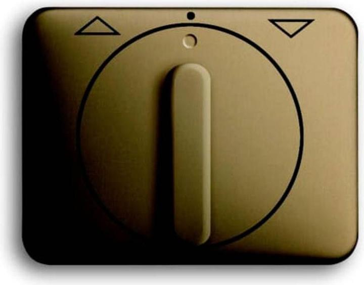 Actual product image Busch-Jaeger Central disk