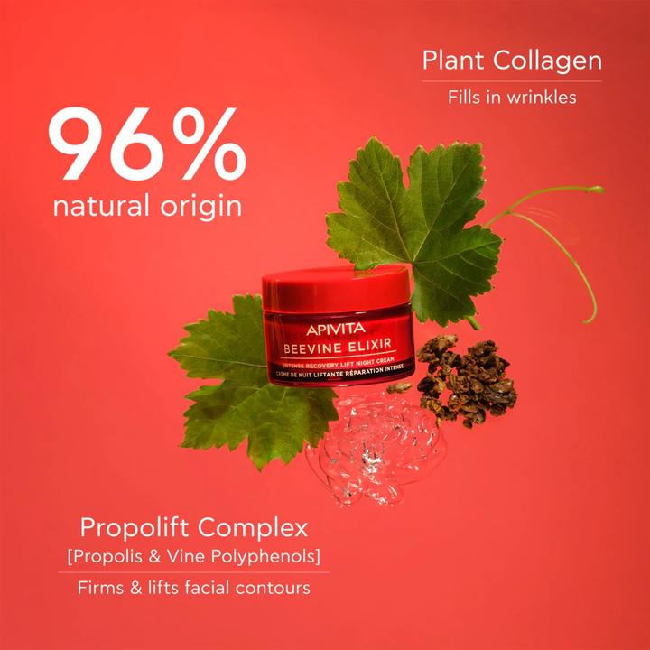 Actual product image Apivita Wine Elixir Cr Noche 50ml (50 ml, Night cream)