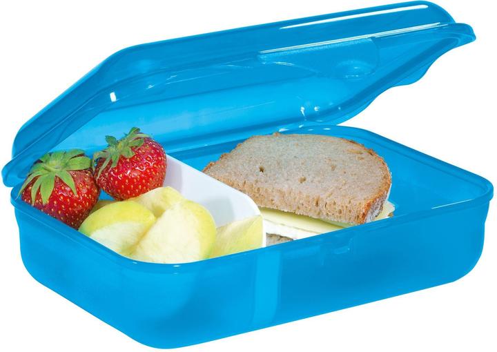 Actual product image Rotho Step by Step lunch box with click closure, dishwasher-safe